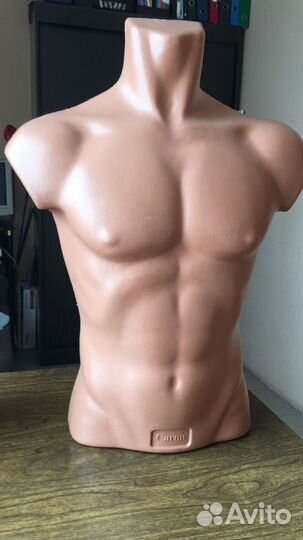 Голова манекен, Торс мужской и женский