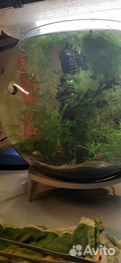 Украшение для аквариума