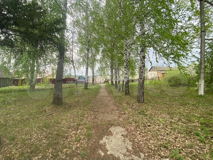 Участок 36 сот. (личное подсобное хозяйство (лпх))