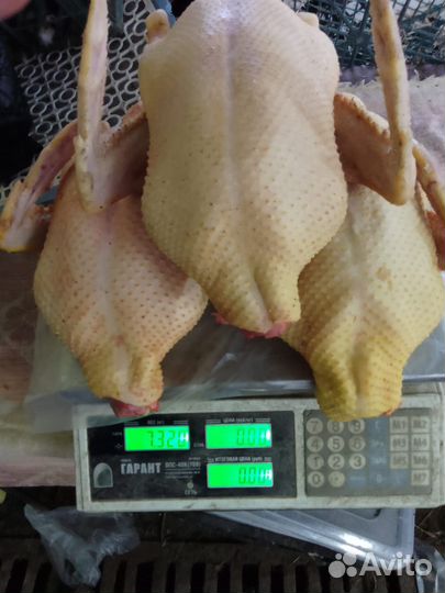 Утка резаная оптом