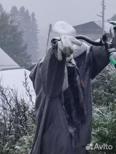 Психолог. Цена договорная