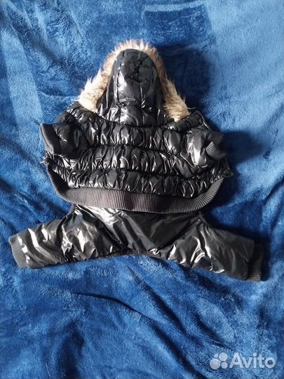 Комбинезон для собаки