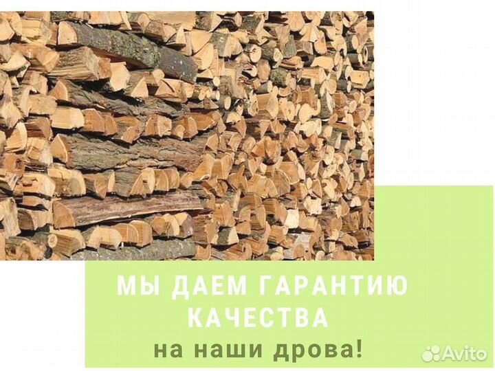 Дрова колотые березовые
