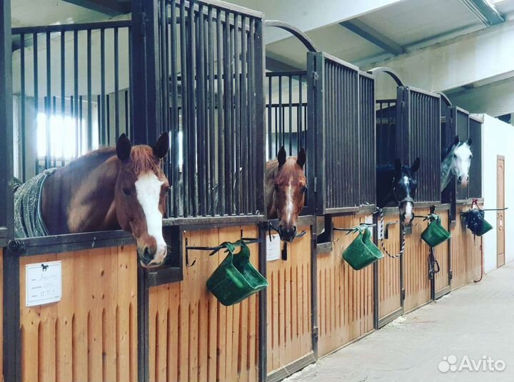 Постой для лошадей