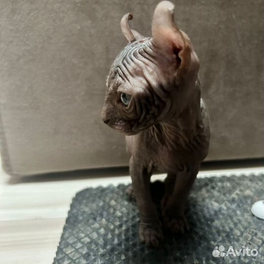 Сфинкс эльф