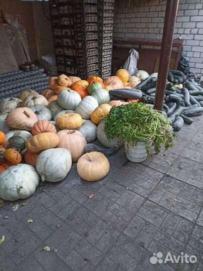 Тыква, картофель