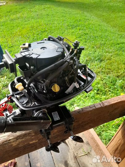 Mercury 6hp