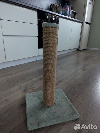 Когтеточка