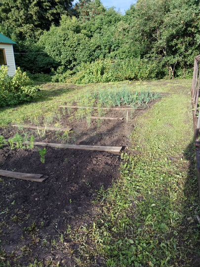 Дом 26,7 м² на участке 30 сот.