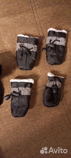 Одежда для маленьких собак пакетом