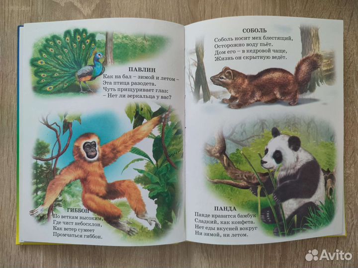 Книги для развития малышей 2-6 лет