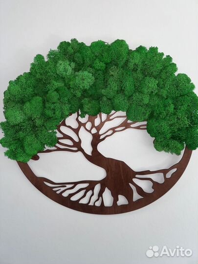 Панно Дерево со стабилизированным мхом 50см