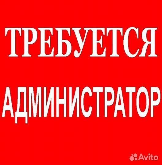 Администратор с ежедневной оплатой