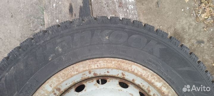 Продаю зимних рейзини