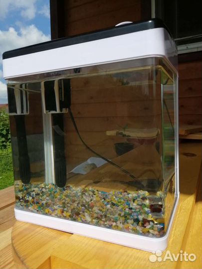 Аквариум с рыбкой петушок
