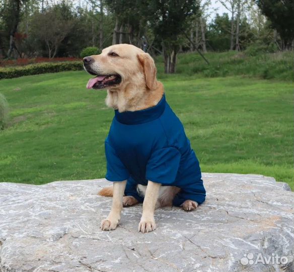 Комбинезоны для собак