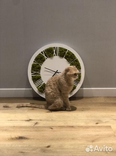 Часы со мхом подарок декор на заказ