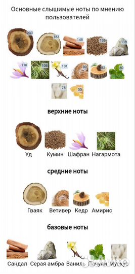 Распив Fortis Оригинал