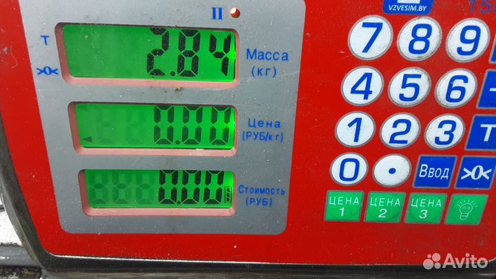 Сетка (собачник) Volvo V70 3 2008