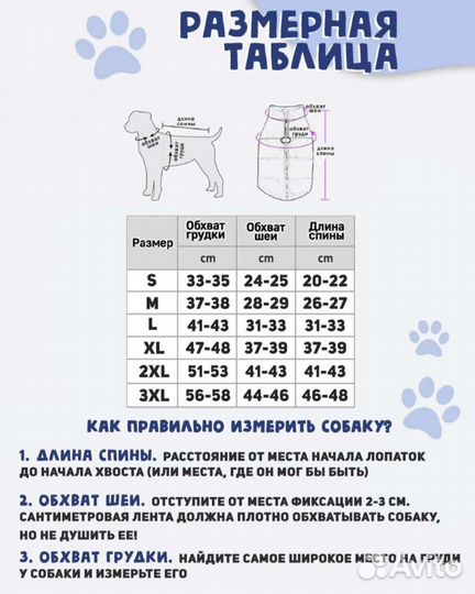 Одежда для собак