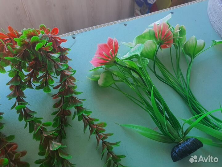 Декор для аквариума