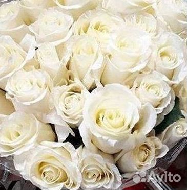 Длинные высокие розы 110 150 160 180 200 см