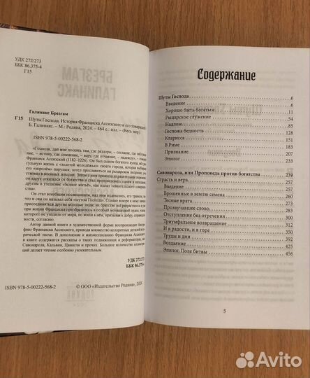 Брезгам Галинакс. Шуты Господа. История Франциска