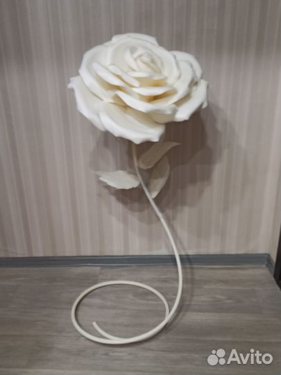 Роза ростовая