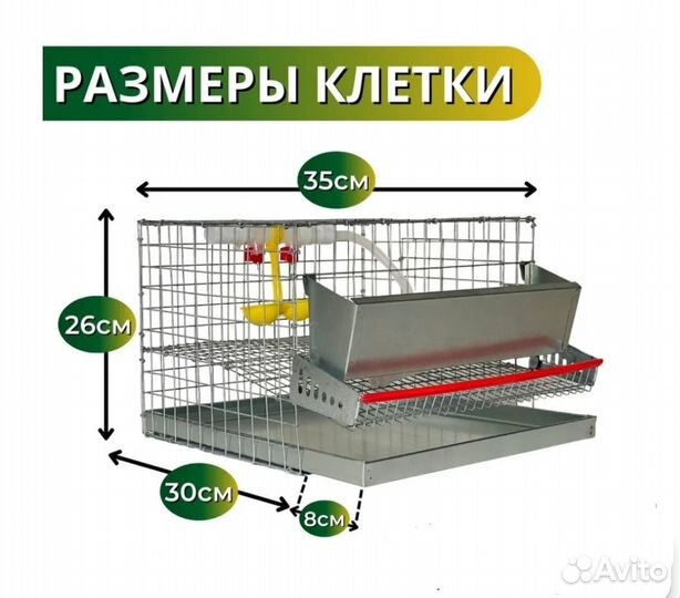 Клетка для перепелок