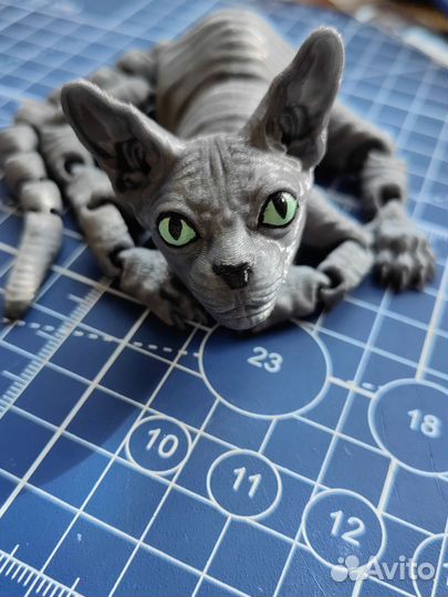 Канадский сфинкс подвижный кот