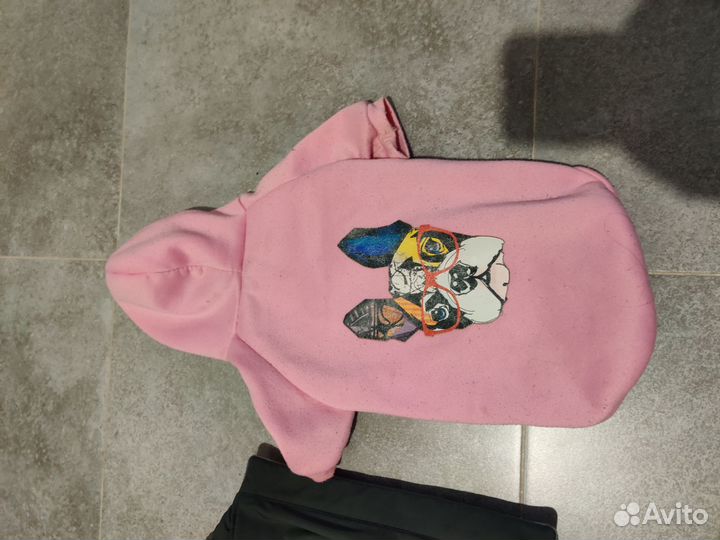 Одежда для собак