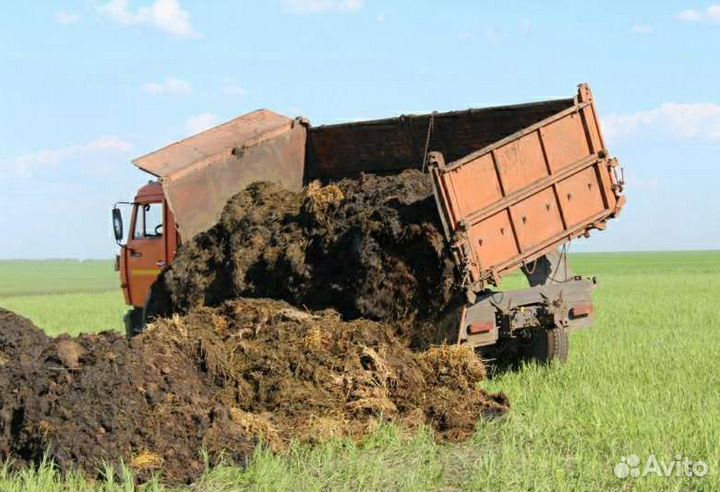 Перегной Навоз