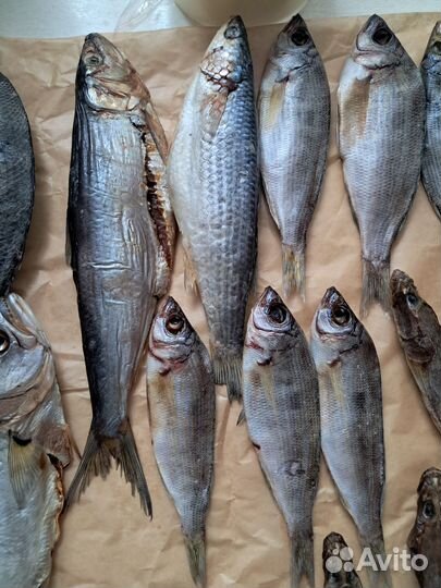 Черноморская вяленая и хк Барабулька Сарган Бычки