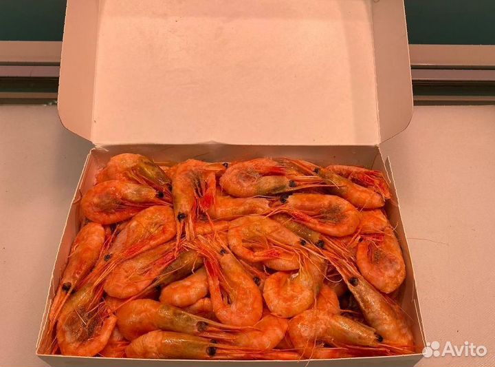 Креветка северная. Опт