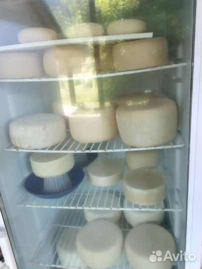 Сыр домашний козий