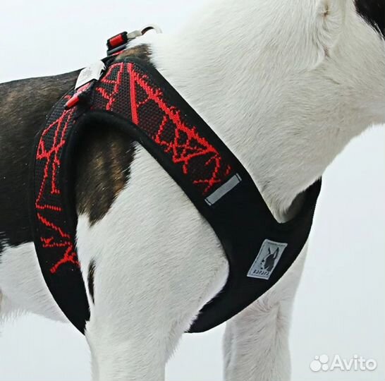 Шлея новая антистресс, S