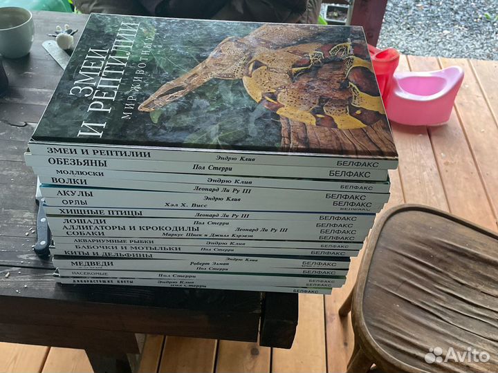 Книги мир животных