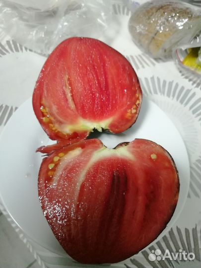 Семена томатов, лилейник