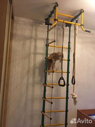 Шведская стенка