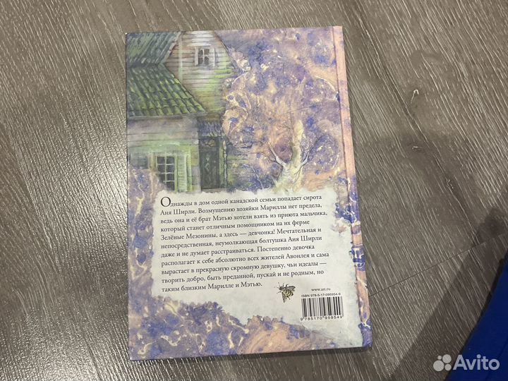 Книга Аня из зелёных Мезонинов