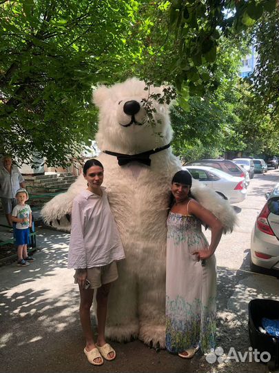 Поздравления от очаровательного мишки