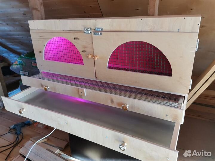 Брудер для цыплят бу