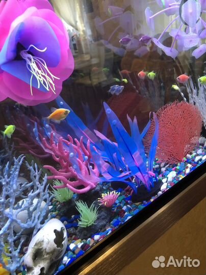 Оригинальный настенный аквариум