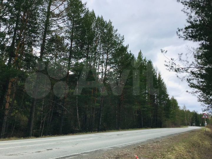 Участок 4,5 га (СНТ, ДНП)
