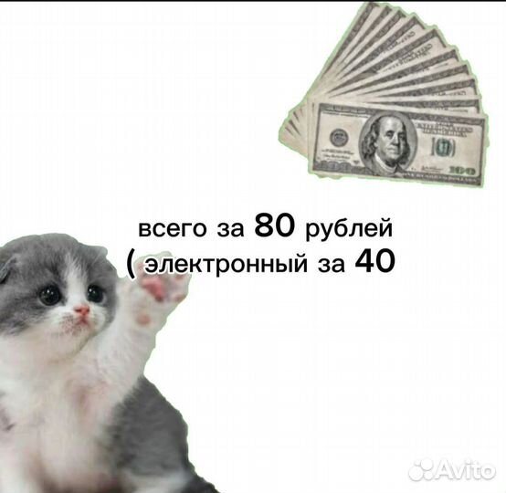 Рисование живых существ