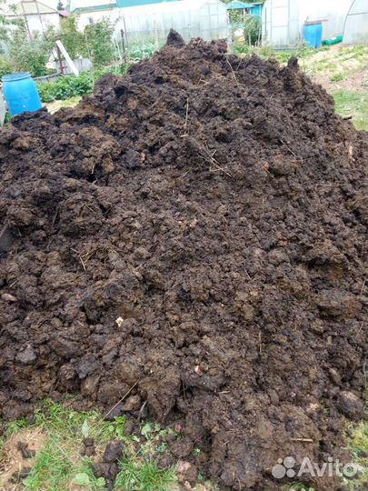 Навоз Конский и Коровий