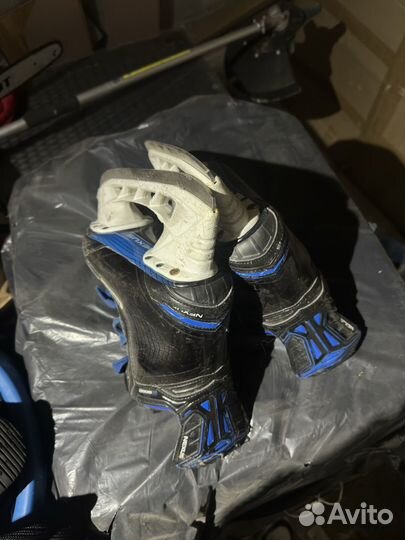 Коньки bauer nexus N9000