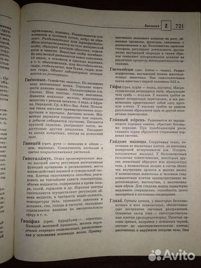 Большой энциклопедический словарь для школьников