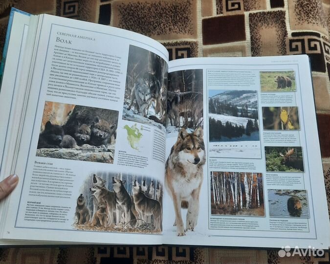 Продам иллюстрированный атлас Животный мир