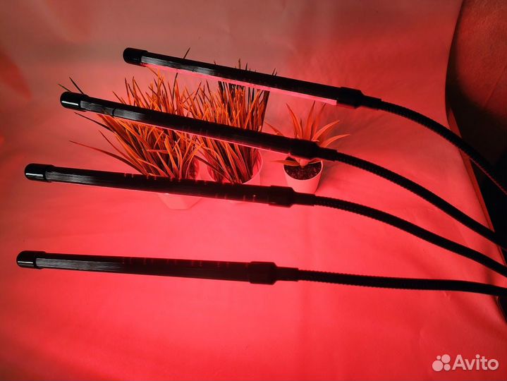 Фитолампа для растений полный спектр